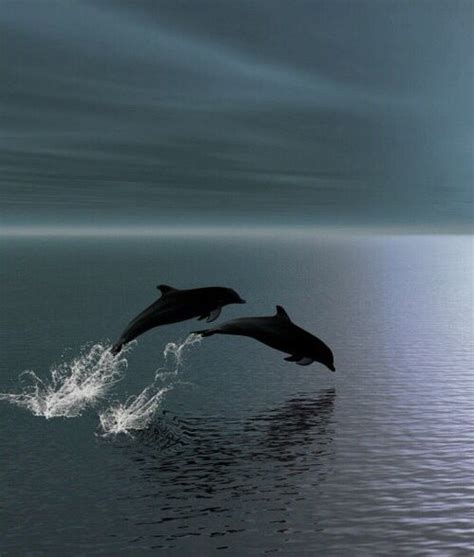 Pinterest ⇝ ∘darkfrozenocean∘ Dolphins Ocean Life Animals