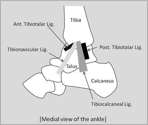 Icd 10 Code For Right Anterior Ankle Impingement