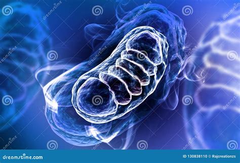 3d Rendered Digital Illustration Of Mitochondria In Colour Background