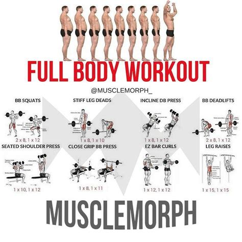But, i'm not going to stop there! If you want to build muscle mass, there are hundreds of ...