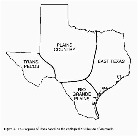 Texas Four Regions Map