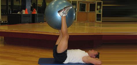 Abdominal Leg Raises Exercise Ball Guide With Photos