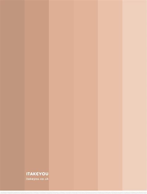 Neutral Color Palette Nude Color Palette Skin Color Palette