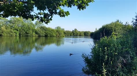 Attenborough Nature Reserve A Beautiful Nature Conservation In