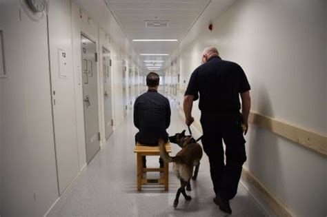 The world prison brief (wpb) is a unique database that provides free access to information about does the green vatican mean there are no prisoners there at all or the whole state is a prison with. The Swedish Prison Where A$AP Rocky Is Detained In ...