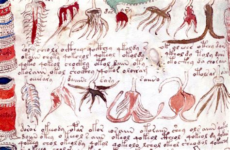 El Misterioso Manuscrito Voynich Detectives De La Historia