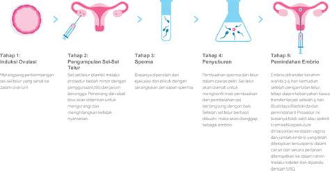 Fertilisasi In Vitro Ivf Alpha Ivf Fertility Center Malaysia