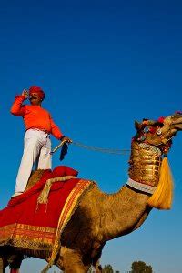 See more of the camels in the desert on facebook. Camels, Camels & More Camels! | Travel Photographer ...