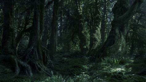 The Lord Of The Rings The Forest Of Fangorn Ambience And Music Youtube