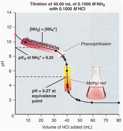 Cape Chemistry Weak Base Strong Acid Titration Curves