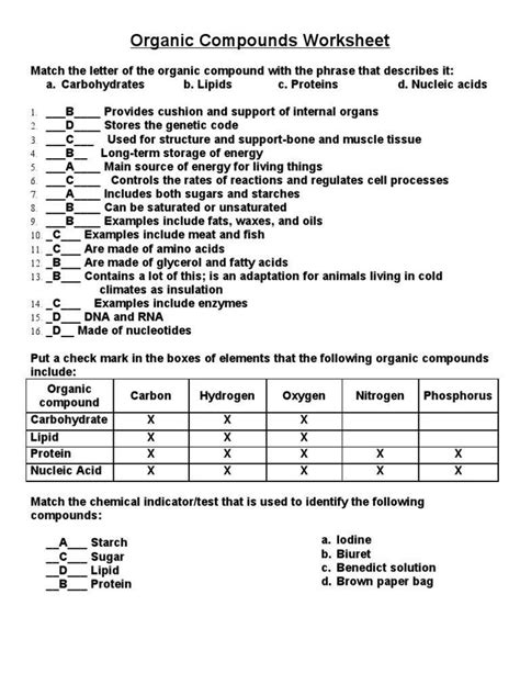 Organic Molecules Worksheet Answers