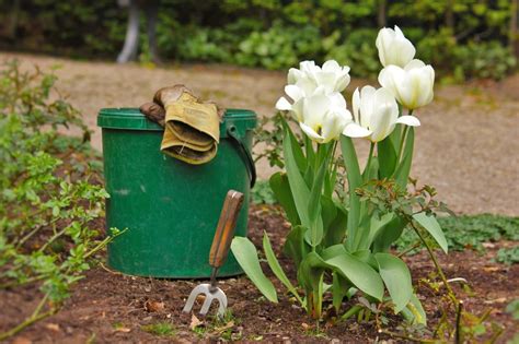 C'est andré le nôtre qui fut certainement le premier, à être reconnu en tant que jardinier paysagiste. Pourquoi faire appel à un jardinier paysagiste ? - La ...