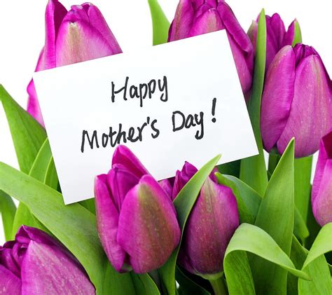 Mothers Day Flowers Happy Tulips Hd Wallpaper Peakpx