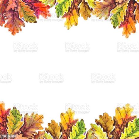 Oak Leaf Border Stock Illustration Download Image Now Autumn