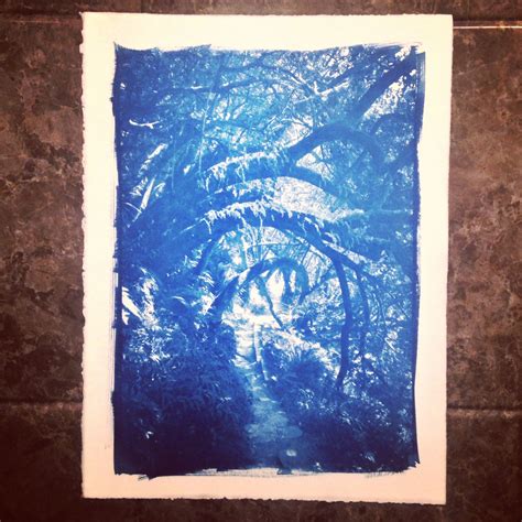 Cyanotype Artwork Art Starry Night