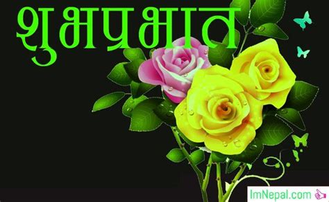 May 09, 2018 · in india, people usually organize a small function in homes and get together to sing bhajans in remembrance of god. 30 Good Morning SMS Shayari Quotes in Hindi Language ...