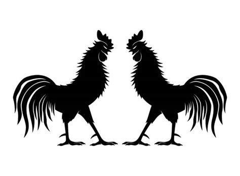 Cartoon Of A Fighting Rooster Illustrations Royalty Free Vector Graphics And Clip Art Istock