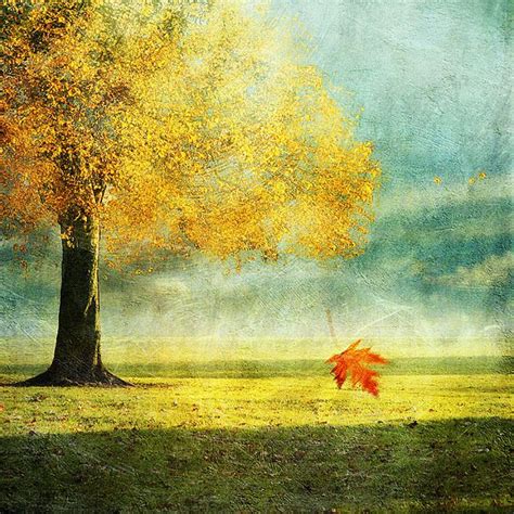 Autumn For Watercolor Automne Pour Aquarelle Illustrations