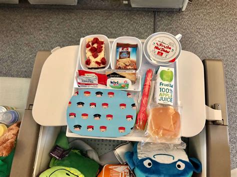 Baby Food On Planes Ordering Baby And Child Airline Meals
