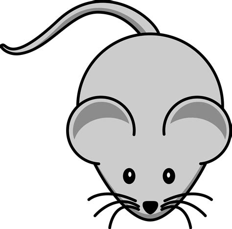 Download high quality computer mouse clip art from our collection of 41,940,205 clip art graphics. Free Cartoon Gray Field Mouse Clipart Illustration