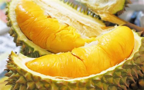 This is 2017 malaysia durian festival 2 by kit on vimeo, the home for high quality videos and the people who love them. Durian Season Starts In May, Stocks Already Coming In From ...