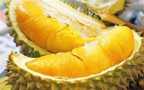 The d on the 2019 malaysia. Durian Season Starts In May, Stocks Already Coming In From ...