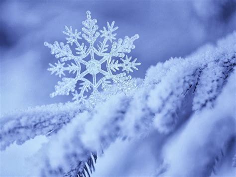 Winter Snowflake Wallpaper High Definition High Quality Widescreen