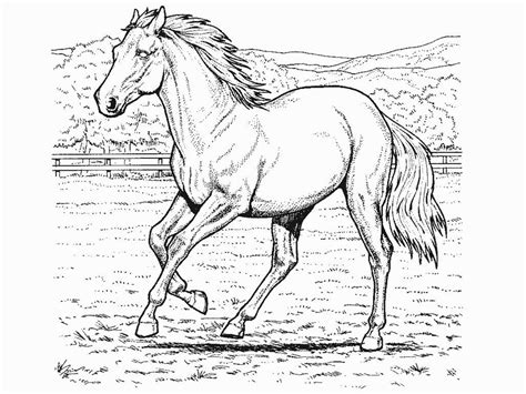 Бесплатне бојанке коња тврдо преузмите бесплатне исјечке и бесплатне
