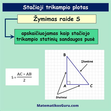 Stačiojo Trikampio Plotas Matematikos Guru