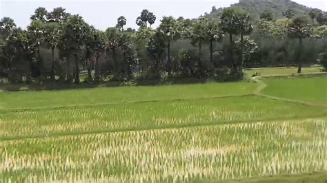 Beautiful Villages In East Godavari Districts Andhra Pradesh Indian Village Youtube