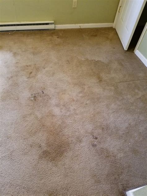 Before And After Classic Carpet Cleaning