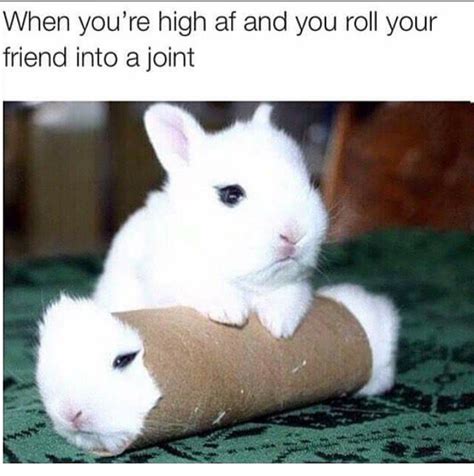 Either way, we hope these funny stupid jokes got you laughing and your mates. Why Does Weed Make You Laugh? As Told Through Film