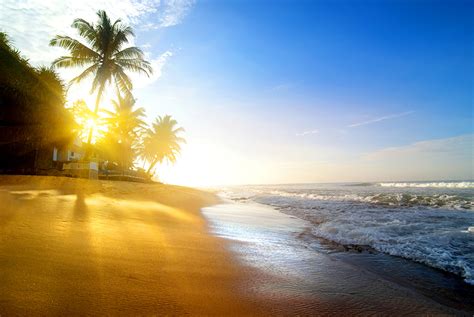 Фото Лучи света пляжа Природа Волны Пальмы Тропики Побережье