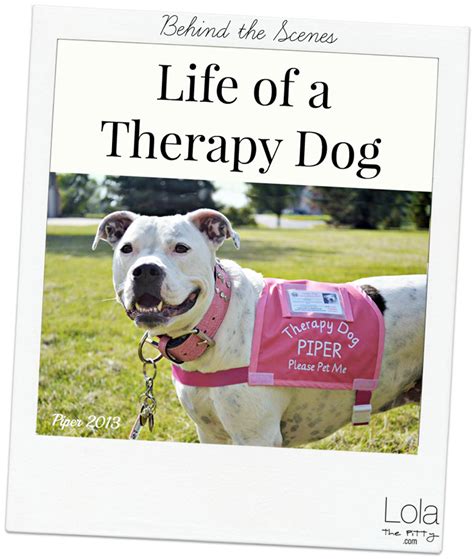 The american kennel club's canine good citizen test is an excellent guideline for training. Behind the Scenes: Life of a Therapy Dog | Lola the Pitty