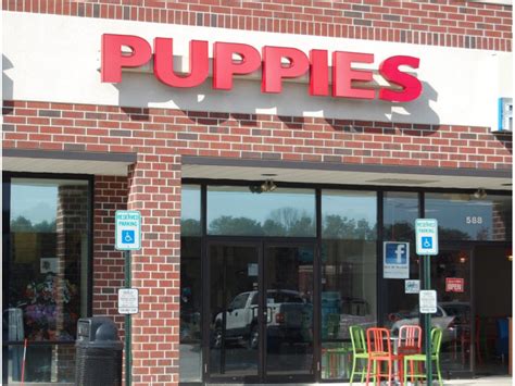 Why you might ask, there are actually a lot of reasons! Brick Ordinance Could Bar Puppy Sales From Existing ...