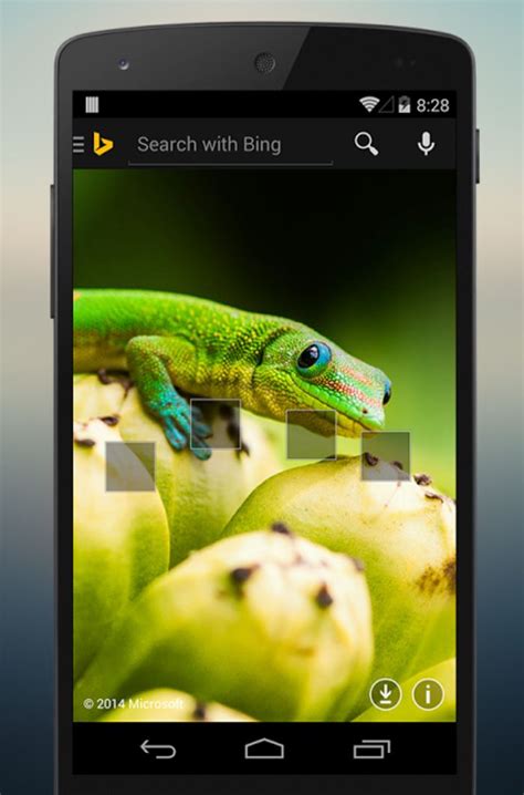 Bing Search App For Android Updated With Full Screen Browsing Support