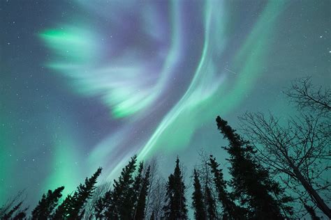Northern Lights Myths And Tips To Make Your Aurora Adventure Lit Alaska