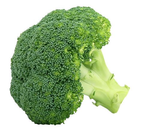 Broccoli Png Transparent Image Download Size 1166x1092px