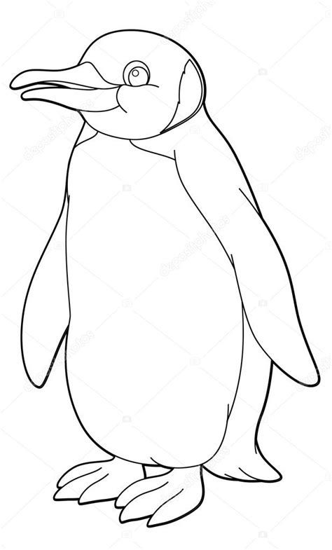 Penguin Arctic Animal Coloring Page — Stock Photo © Agaes8080 42653533