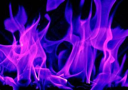 Background Flames Pink Purple Fire Backgrounds Wallpapers