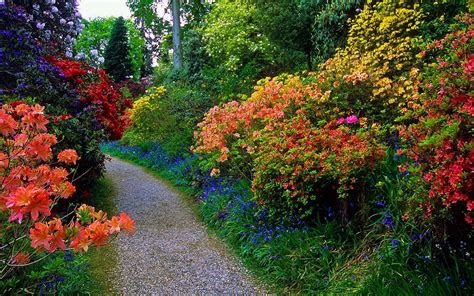 Flowery Garden Path Full Hd Wallpaper And Background Image 1920x1200