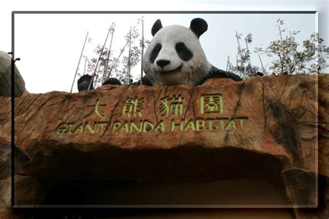 Maybe you would like to learn more about one of these? 香港之旅---海洋公園熊貓館 - 主題公園