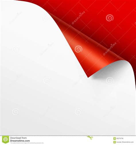 Curled Corner Of White Paper With Shadow Stock Vector Illustration Of