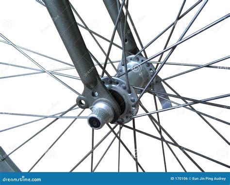 Bicycle Bicycle Spokes