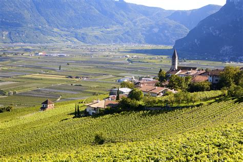 Südtirol Alto Adige Wine Region Guide