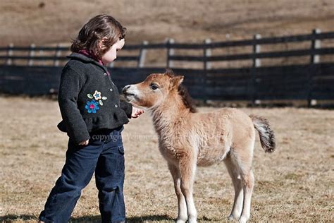 Miniature Horse Foal And Children By Whimsical Years Photography