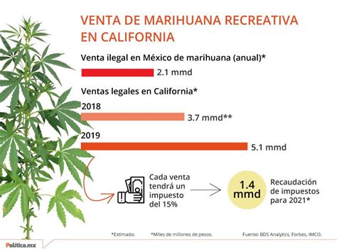 La historia de la marihuana en méxico se remonta a la llegada de los conquistadores españoles, que la en los años 20, cuando triunfa el gobierno revolucionario prohíbe la comercialización de la marihuana, es así como empieza el gran negocio del narcotráfico. Gobernador de Jalisco a favor de abrir debate sobre marihuana