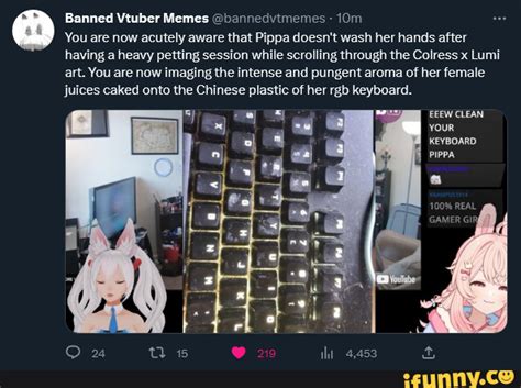 Banned Vtuber Memes Bannedvimemes You Are Now Acutely Aware That Pippa