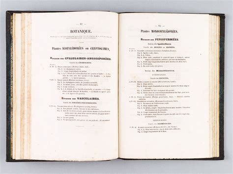 Dictionnaire Universel Dhistoire Naturelle Spécimen De Lédition