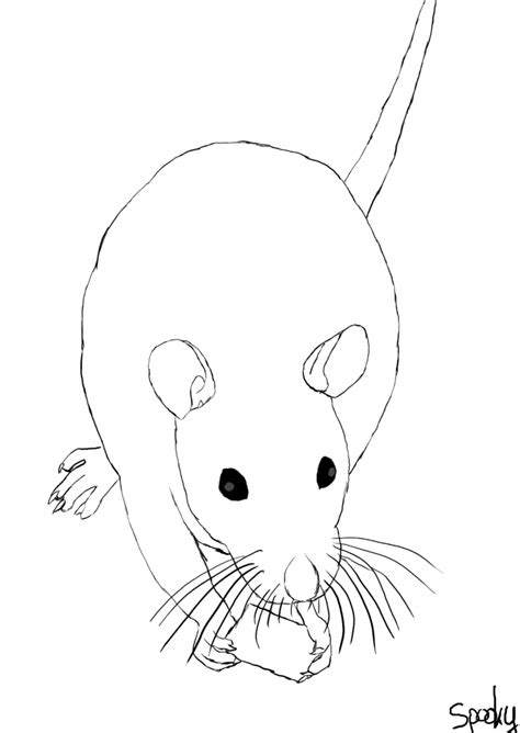 Dessin facile rat - altoservices